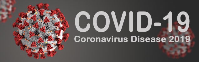 COVID-19 Service11